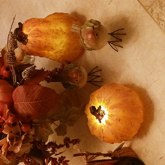 Harvest Pumpkin & Gourd set,illuminating On A Timer,/Valeri/Qvc,made Of Wax - Picture 6 of 13